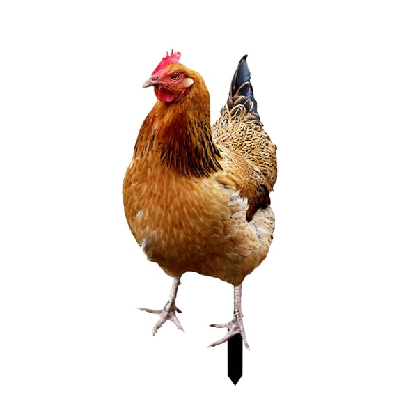 XIBUFE 2026 New Chicken Lawn Stakes Realistic Chicken Statues Garden Acrylic Yard Outdoor Arts Lawn Hen Inserts for Outdoor Gardens Backyards Lawns,Chicken Yard Garden Statue Rooster Garden Statues