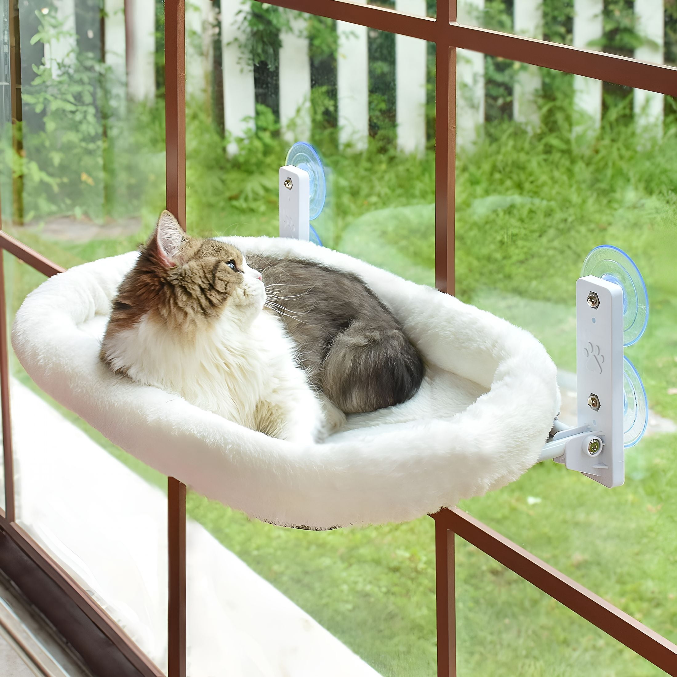 XIBUFE 2026 New Cordless Cat Window Perch, Window Hammock for Cats with 4 Strong Suction Cups, Solid Metal Frame and Soft Cover, Indoor Cat Bed