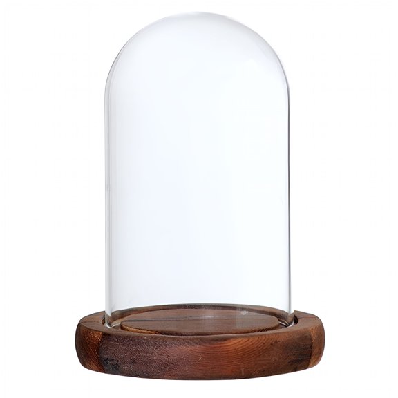 XIBUFE 2026 New Decorative Glass Cloche Bell Jar Dome with Wooden Base for Home,Table,Display Display Decor