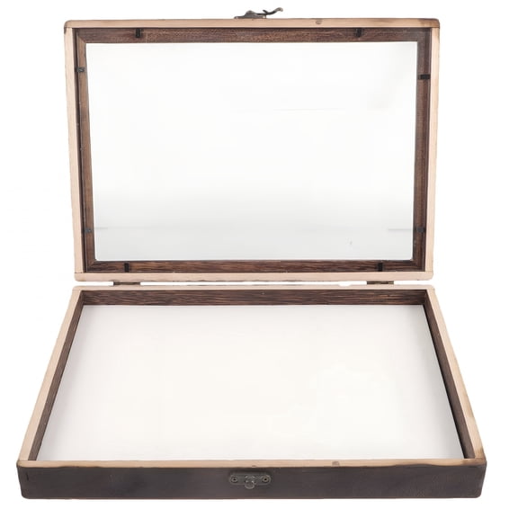 XIBUFE Insect Display Case with Foam Pin Board, Wooden Specimen Box with Clear Acrylic Top, Shadow Frame for Bug Collection, Science Projects, Dried Flowers, Coffee