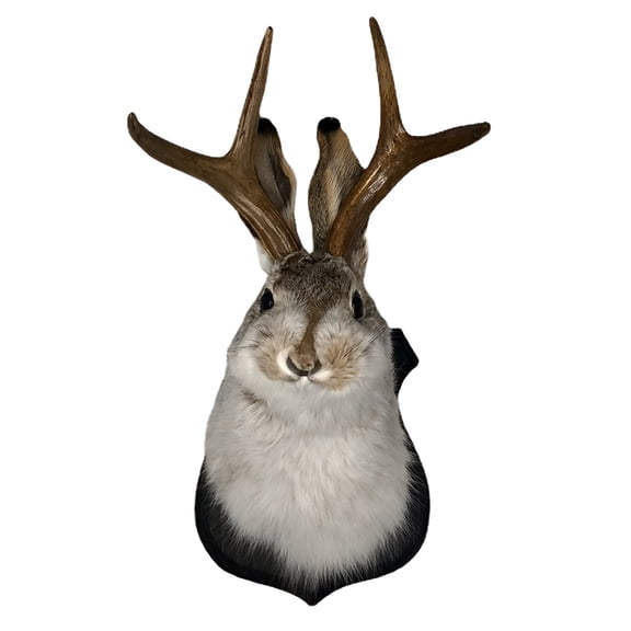 XIBUFE 2026 New Jackalope Mount Wall Decor,The Latest Legend of Antlers,Animal Head Wall Decor,Deer Head Wall Mount,Resin Hanging Wall Art,Wooden Antler Rabbit Head