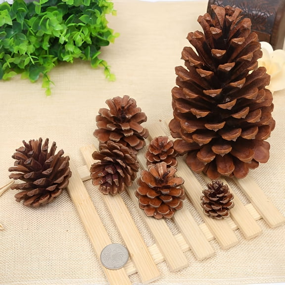 XIBUFE 2026 New Large Pinecone for Christmas Decor Pinecones for Crafts Christmas Tree Fall Ornaments Home Party Decorations for Wreath Wedding Vase Fillers Garland&Holiday Centerpieces