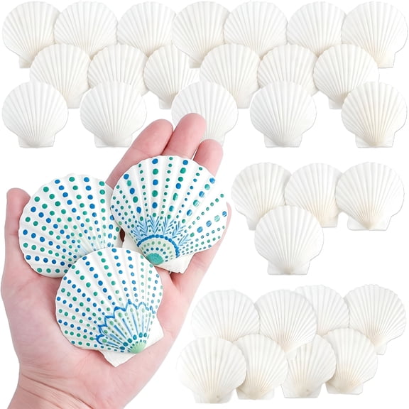 XIBUFE 25 Pcs White Scallop Shells for Crafts 2-3 Inch White Seashell Large Shells for Crafts Diy Painting Beaching Wedding Decoration Home Decor Seashells Bulk