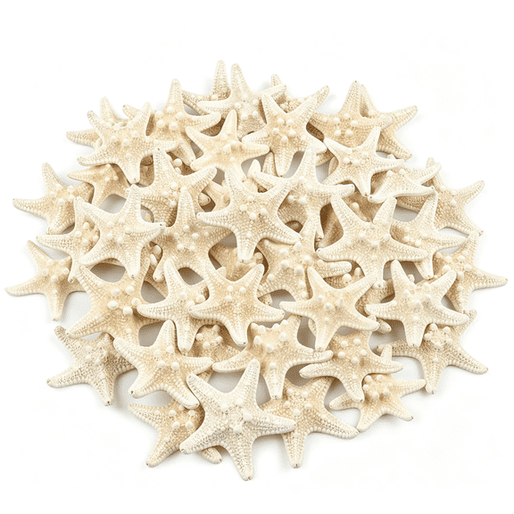 XIBUFE 48 Pcs Starfish,Mini Starfish 1" to 2" Small Knobby Starfish Natural Seashells Starfish Perfect for Wedding Decor Beach Theme Party,Home Decorations,Diy Crafts,Fish Tank
