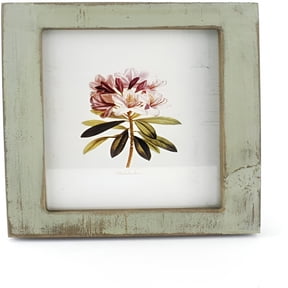 XIBUFE 4X6 Inches Simple Rectangular Desktop Picture Frame with Glass Front (Green)