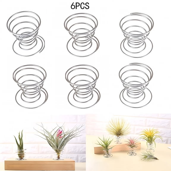 XIBUFE 6 Pcs Silver Stainless Steel Air Plant Holders, Spring Wire Display Stands for Small Tillandsia, Indoor Patio Garden