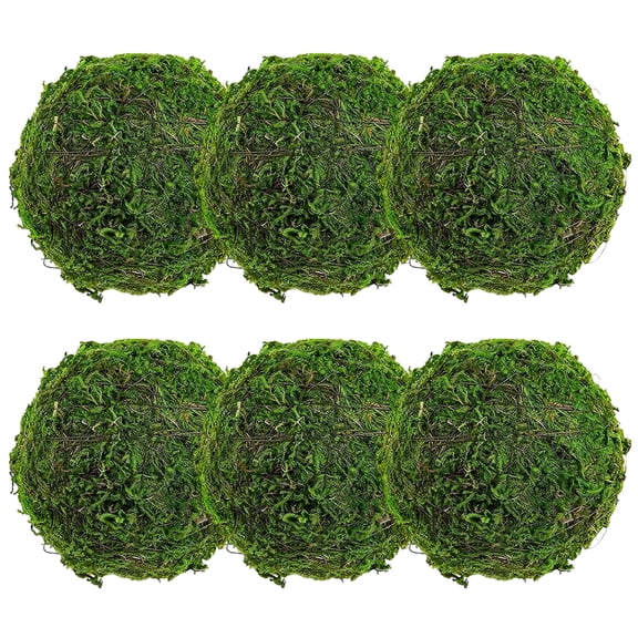 XIBUFE 6Pcs Marimo Moss Ball,Grass-Like Fibers Moss Balls,Evergreen All Year, Maintenance-Free Moss for Plants Indoor Decorative Balls for Bowls