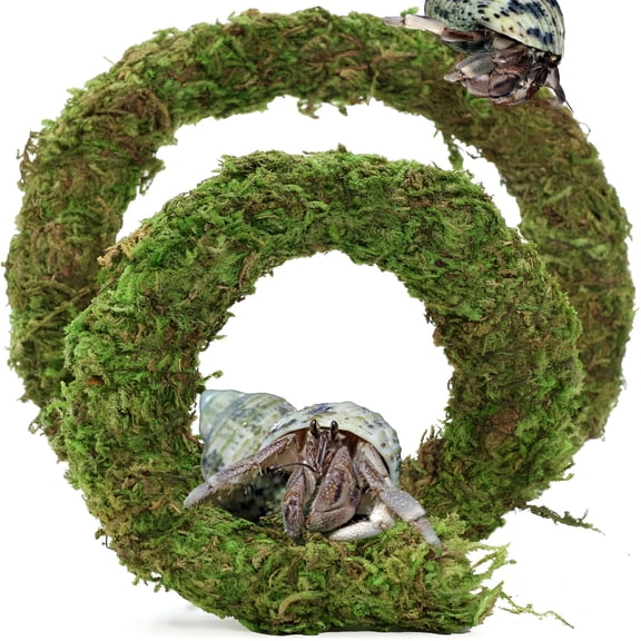 XIBUFE Bendable Hermit Crab Climbing Toys,Adjustable Fake Moss Vine for Pet Snail Hermit Crab Habitat Hideouts Tank Terrarium Accessories(Natural Green,20Inch)