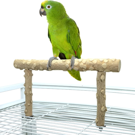 XIBUFE Bird Perch Stand,Bird Cage Top Perch Gym,Natural Wood Parrot Branch for Small Medium Large Parrot (S)