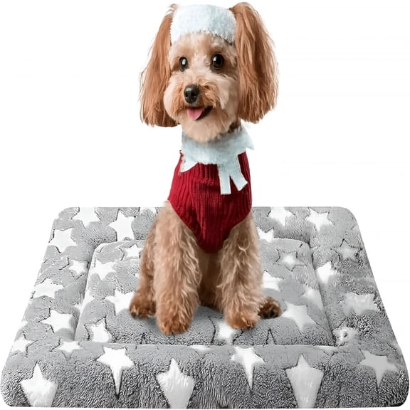 XIBUFE Dog Bed Mat, Reversible Crate Pad & Cute Dog Bed - Machine Washable Kennel Mat with Ultra Soft for Small Dogs (Cool/Warm), 24" x 18", Grey