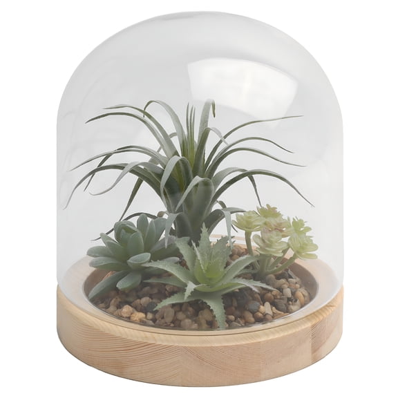 XIBUFE Glass Enclosed Faux Succulent 9.84" Terrarium Indoor Table Top Dcor Glass Terrarium Bookshelf Decor