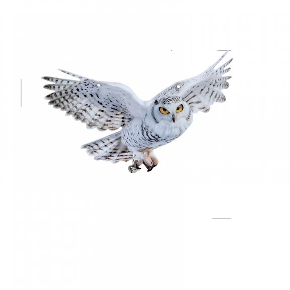 XIBUFE Realistic Acrylic Owl Bird Repellent Statue - Weatherproof Garden Decor,Durable Yard Ornament for Patio & Outdoor Pest Control,Handcrafted Simulation Animal Figure