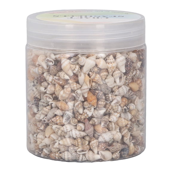 XIBUFE Seashells for Crafting Spiral Shells, 1 Can Tiny Sea Shells for Jewelry Making, Shells for Crafts