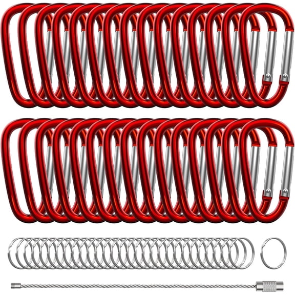 XIECHANEE 30PCS Aluminum Carabiner Clips, 2" D Shape Spring Snap Hooks Carabiner with 30PCS Keyring Keychain Hook