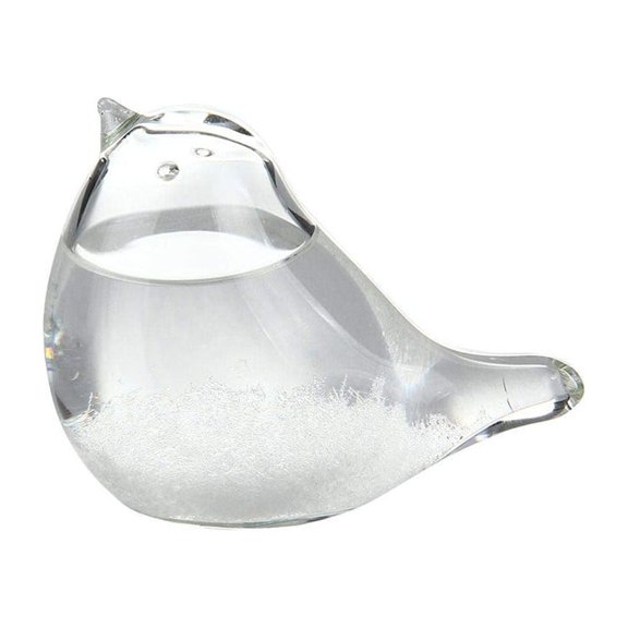 XIEULQP Storm Glass Weather Predictor – Bird-Shaped Desktop Decor with 70mL Liquid Crystal Display for Home & Office Decoration​​