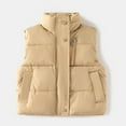 thumbnail image 1 of XIMIN Toddler Boys Girls Quilted Cropped Puffer Vest Winter Coat Sleeveless Stand Collar Lightweight Down Coat Standing Collar Baby Padded Waistcoat Warm Outerwear, 1 of 8