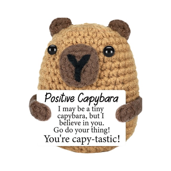 XINGAG Positive Capybara Crochet Mini Emotional Animal Gifts Support Inspirational Knitted Plush with Positive Messages Birthday Gift for Capybara Lovers Cheer Up Desk Decor