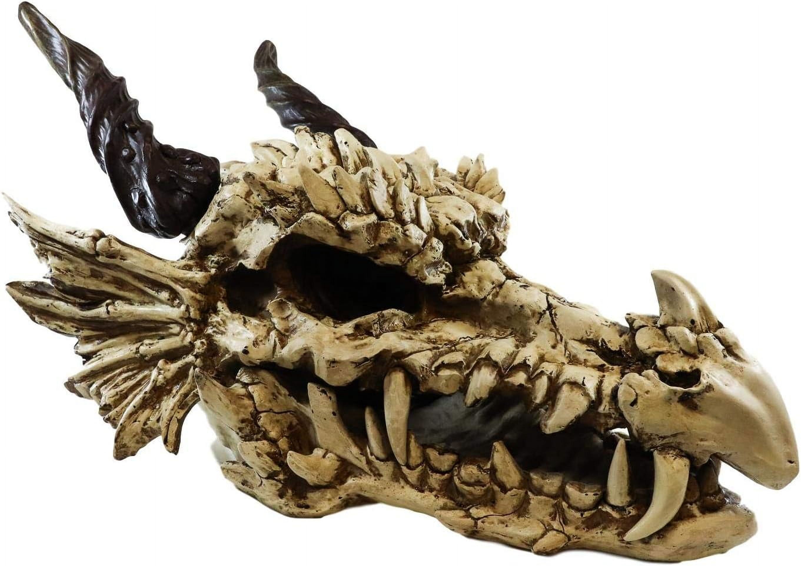 XINHAO Grand Scale Oversized Dragon Skeleton Fossil Skull with Horns ...