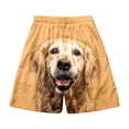 thumbnail image 1 of XINPING Plus Size Beach Shorts Men Retro Athletic Tropical Print Quick Dry Pool Swimming Trunks with Pockets Anti-Chafe Beach Wear, 1 of 3