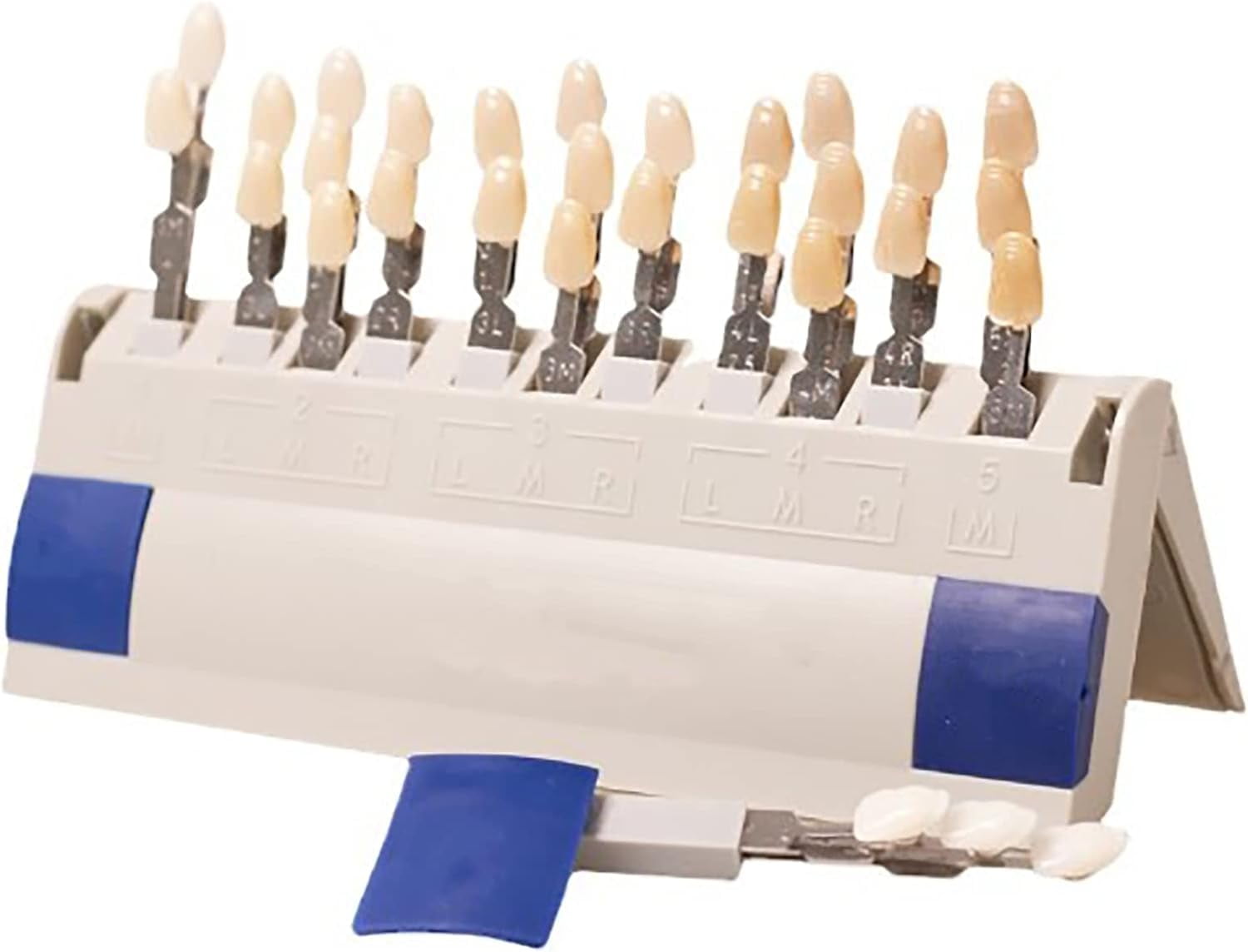 XIOP 29 Colors Teeth Whitening Shade Guide, Teeth Whitening Shade Chart