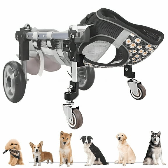 XIRQI 2026 New Dog Wheel Chair, 2/4 Wheel Front Back Wheels Dog Mobility Aid Wheelchair Adjustable, Small Medium Large Dogs Leg Brace for Paralysis Injury Doggy, Pet Trolley