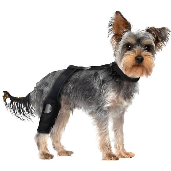 XIRQI ACL Brace for Dogs Rear Leg Support, Dog Cone Alternative With Extra Collar, dog leg braces for back leg