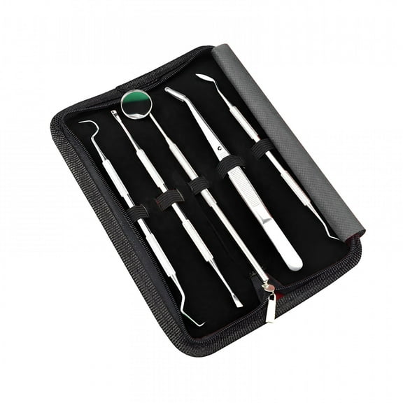 XIRQI Clearance Tooth Care Steel Tools Stainless Hygiene Tooth Set 5Pcs Clean Kit Oral Teeth Tooth Care,Teeth Cleaning Sale