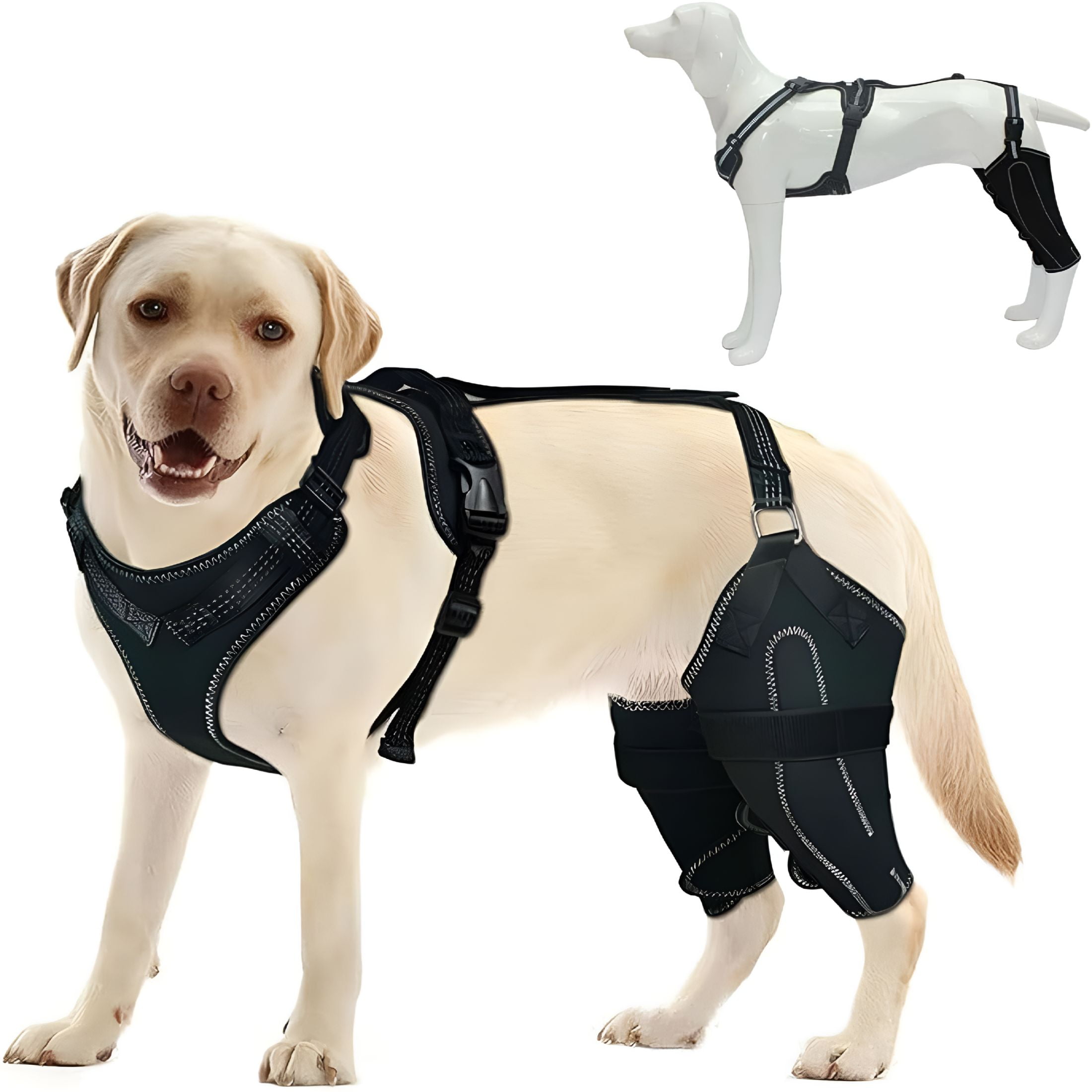 XIRQI Dog Knee Brace for Torn ACL, Adjustable ACL Brace for Dogs Rear ... - Canine Joint Pain Relief Without Surgery