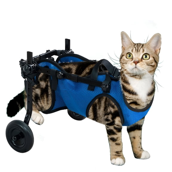 XIRQI Pet Wheelchair Dog Leg Brace and Hip Support,Wheelchair for Back LegsAdjustable Pet CartAssist a Paralyzed Pet Get Back on Its FeetSupport Leg Brace and Hip(Extra Small)