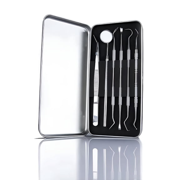 XIRQI Stainless Steel Dental Scaler Kit, 6 Pcs Teeth Tartar Remover & Plaque Tool