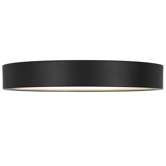 XIZE LED Flush Mount Ceiling Light, 14" L, Black