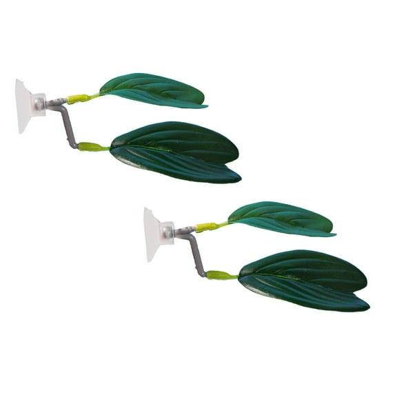 XJGHHSY 2 Pack Betta Fish Leaf Pad Improves Betta's Health by Simulating the Natural Habitat - Natural, organic, Comfortable Rest Area for Fish Aquarium ornaments,Green