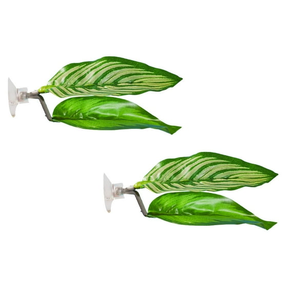 XJGHHSY 2 Pack Betta Fish Leaf Pad Improves Betta's Health by Simulating the Natural Habitat - Natural, organic, Comfortable Rest Area for Fish Aquarium ornaments,Light Green