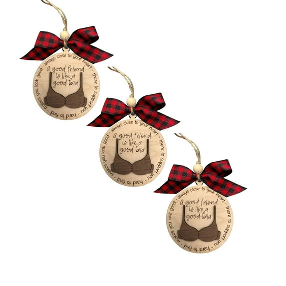 XJGHHSY Funny Christmas ornaments for Adults 2025,3 Pcs Wooden Fun Naughty Christmas ornaments, Fun Adult Gift Exchange Ideas, Funny Friend ornament for Women, A Good Friend is Like A Good Bra,Brown