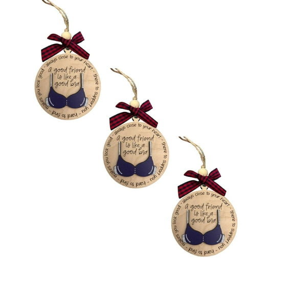 XJGHHSY Funny Christmas ornaments for Adults 2025,3 Pcs Wooden Fun Naughty Christmas ornaments, Fun Adult Gift Exchange Ideas, Funny Friend ornament for Women, A Good Friend is Like A Good Bra,Blue