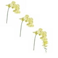 thumbnail image 1 of XJGHHSY Yellow orchid Artificial Flowers 3 Pcs 36" Real touch Fake orchid Latex Flowers Phalaenopsis Branches for Home Party Wedding Bridal Shower Decoration,Yellow, 1 of 3