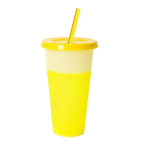 XKHBDL PP Plastic Cup, Color Changing Cups with Lids and Straws, Reusable plastic tumblers with lids and straw,Party Funny Tumbler Ice Cold Drinking Cup for Kids & Adults