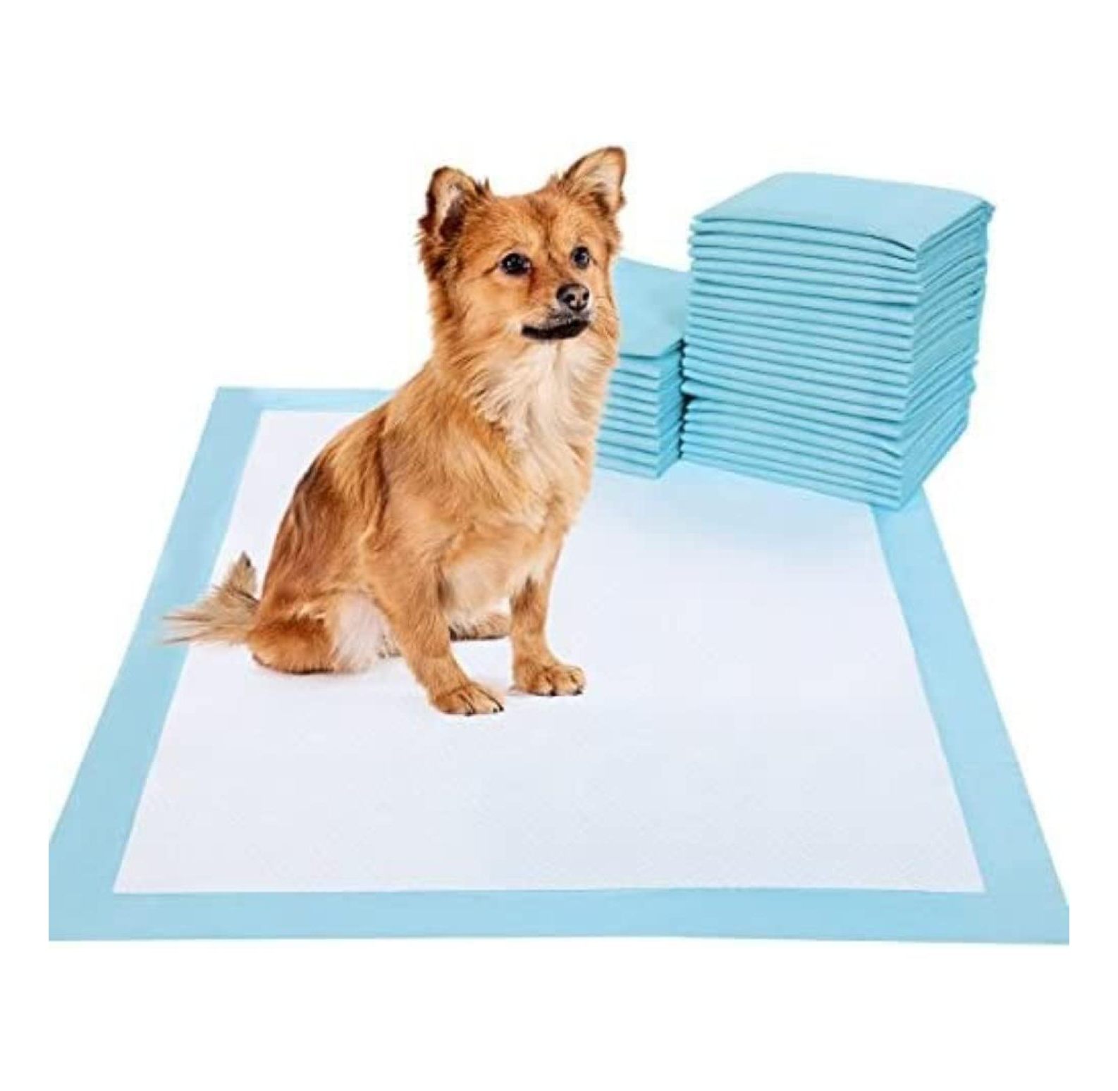 XL 30x30 150ct 3Layer Economy Grade Lightweight Puppy Dog Training