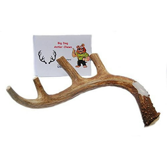 XL Deer Antler Dog Chew, Extra Large, Jumbo, Perfect for Large Dogs and Puppies Who are Aggressive Chewers. Happy Dog Guarantee!