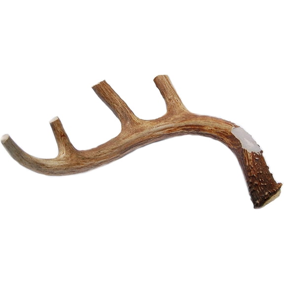 XL Deer Antler Dog Chew for Large and Extra Large Aggressive Chewers
