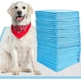 thumbnail image 1 of XL Pet Training Pee Pads (50-Count) - X-Large 28" x 34" Training Pad, Disposable Thicken Pee Pads for Dogs, Puppies, Large Dogs, Cats, and Rabbits - Quick Absorb Doggie Potty Pads, 1 of 7