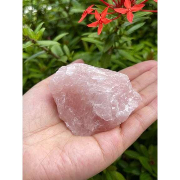 XL Raw Rose Quartz, 3-4" Natural Rose Quartz Stone, Rough Rose Quartz, Healing Rough Crystal (Rose Quartz, 0.5-1 lb)