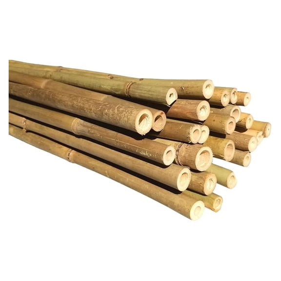 XLMD Natural Bamboo Poles Eco-Friendly Plant Support Garden Stakes 8ft Long Diameter 3/4 Inch 25 Count