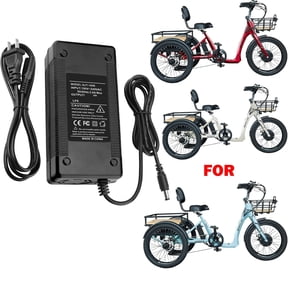 XMHEIRD AC Adapter Charger Compatible with Emojo Bull Trike 48V Lithium Battery Power Supply Cord