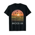 XMLYSH Cicada Brood XIII 2024 Double Emergence Sunset Farmland graphic