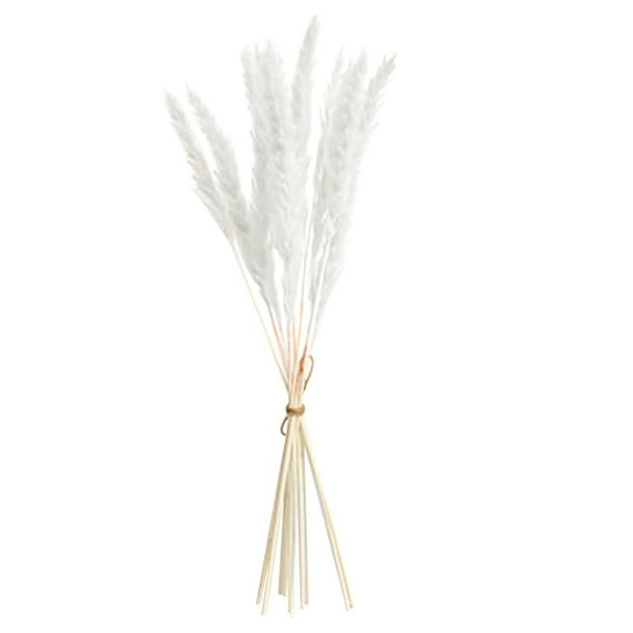 XMMSWDLA 15 Pcs Natural Dried Grass Home Decor Bouquet Dried Reed Flowers for Wedding Floral Arrangements Wall Bathroom Decor