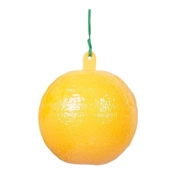 XMMSWDLA Drosophila Trap Trap for Coccidiosis, Coccidia Trap Ball Plus Base Station Deworming Gifts for Mom Plastic