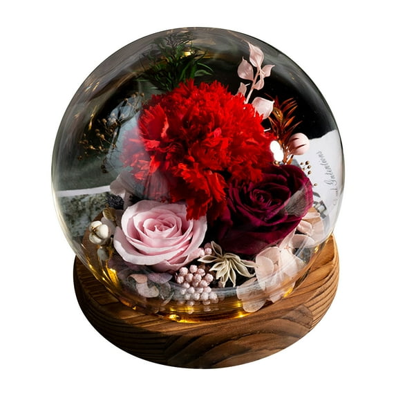 XMMSWDLA Long-Lasting Real Flowers, Unique Floral Gift for You To Send Love for All Occasions, for Indoor Decoration Valentines Day Gifts