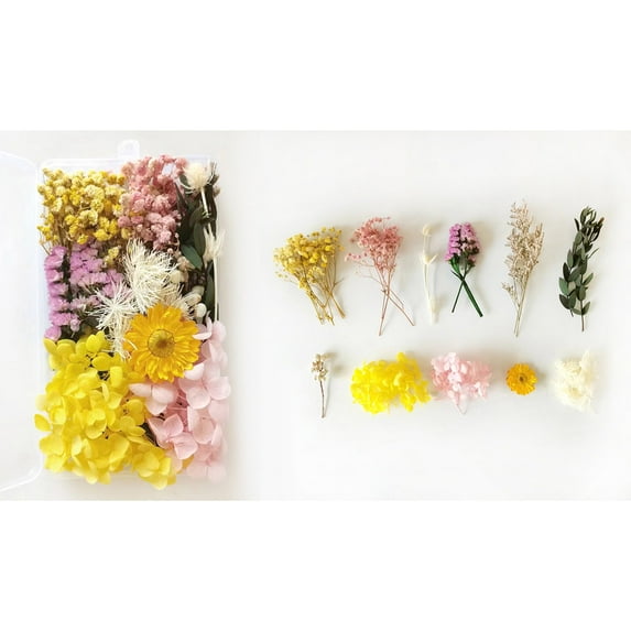 XMMSWDLA Real Dried Pressed Leaf Flowers-Multiple Colorful Pressed Flowers Daisies for Craft Jewelry Making Art Craft Diyvalentines Day Decor