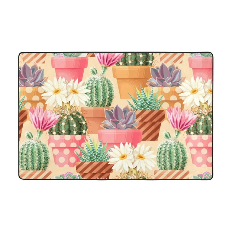 pic of succulents Mixed Succulent Garden – Little Acre Flowers main image 1
